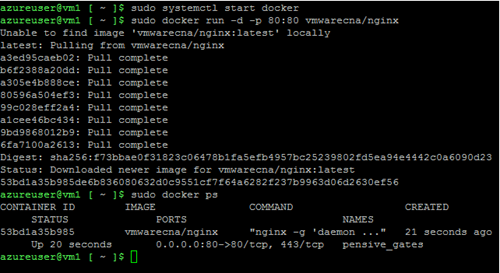 Azure docker run