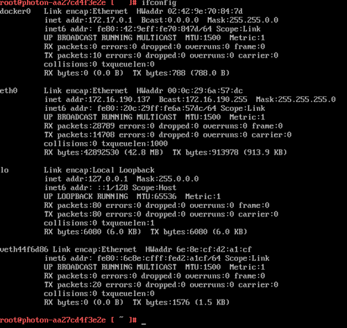 IP Address