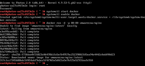 Docker run