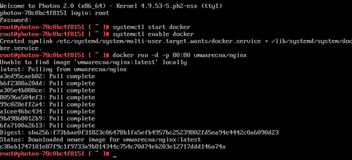 Docker run