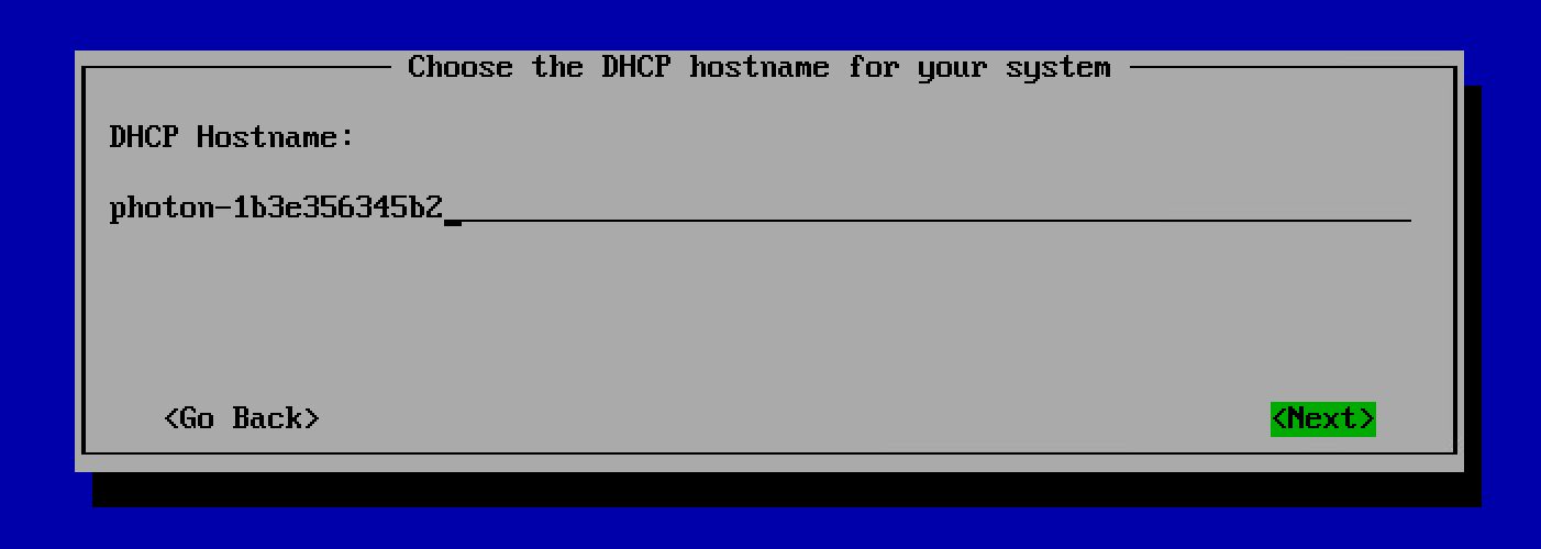../images/DHCP_hostname_for_your_system.png
