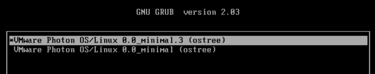 PhotonHostFirstRebootGrub