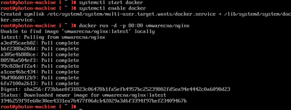 Docker run